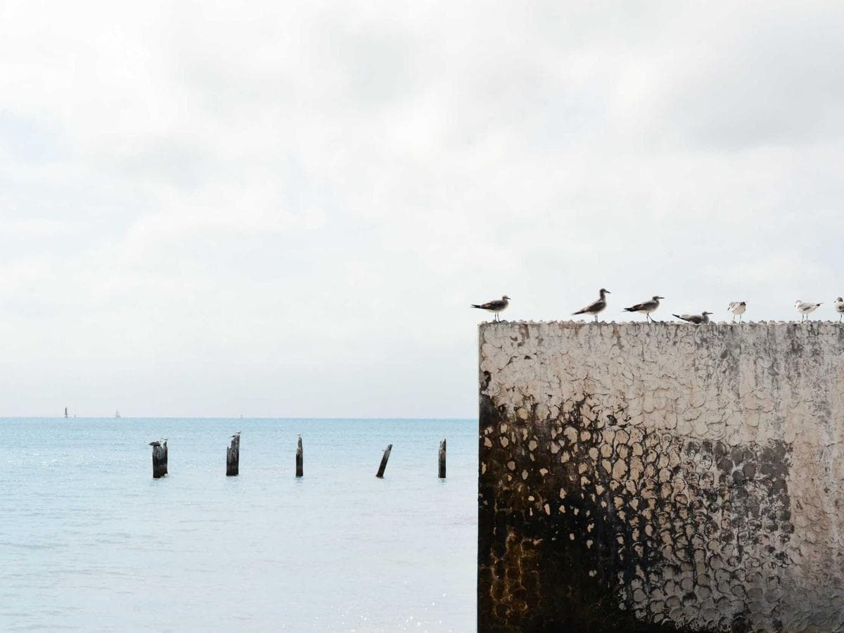 产教融合实战项目